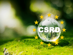 Mit dem am 26. Februar 2025 veröffentlichten CSRD Omnibus-Vorschlag verfolgt die Europäische Kommission das Ziel, Unternehmen von übermäßigen Berichtspflichten zu entlasten und regulatorische Prozesse zu vereinfachen. Vor allem kleine und mittlere Unternehmen (KMUs) sollen von den Anpassungen profitieren. Gleichzeitig ergeben sich für die Beratungs- und Prüfungsbranche neue strategische und operative Herausforderungen.