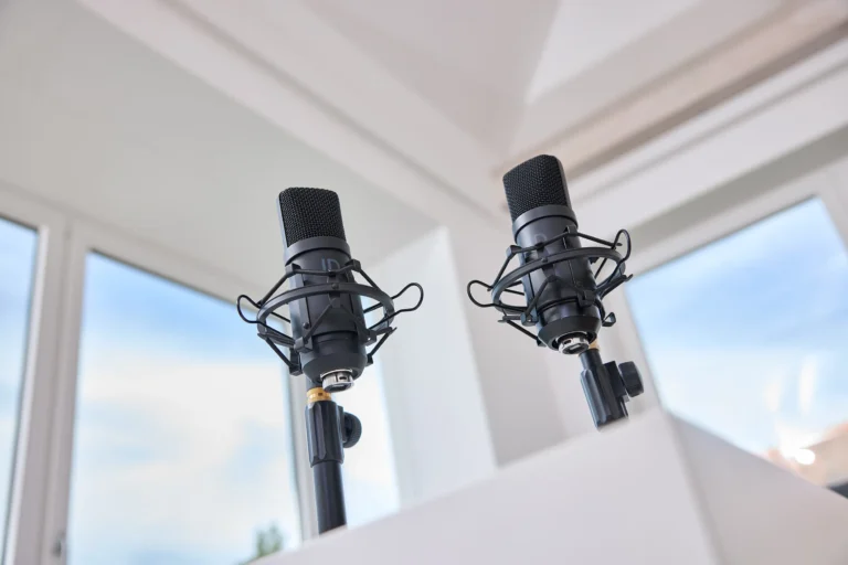 Zwei schwarze Kondensatormikrofone auf Mikrofonstativen mit Spinnenhalterungen, aufgenommen aus der Froschperspektive vor hellen Fenstern mit blauem Himmel – Symbolbild für die Podcast-Produktion bei Lünendonk.